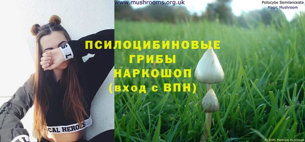 прущий лед Куйбышев