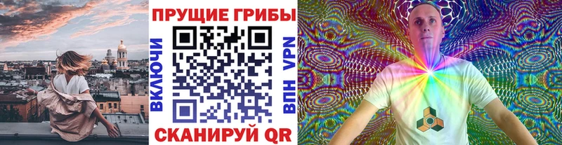 Галлюциногенные грибы Psilocybine cubensis  Купить где  Зубцов 